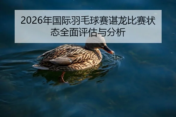2026年国际羽毛球赛谌龙比赛状态全面评估与分析