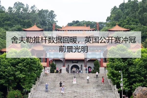 she-fu-lei-tui-gan-shu-ju-hui-nuan-ying-guo-gong-kai-sai-chong-guan-qian-jing-guang-ming-2-711.jpg