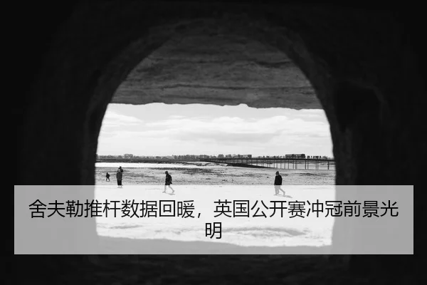 舍夫勒推杆数据回暖，英国公开赛冲冠前景光明