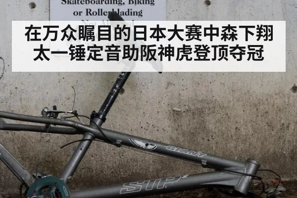 在万众瞩目的日本大赛中森下翔太一锤定音助阪神虎登顶夺冠