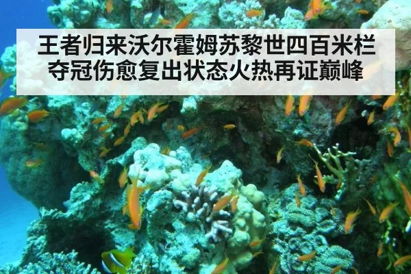 王者归来沃尔霍姆苏黎世四百米栏夺冠伤愈复出状态火热再证巅峰